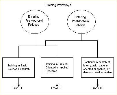 Picture of academic training pathways for trainees