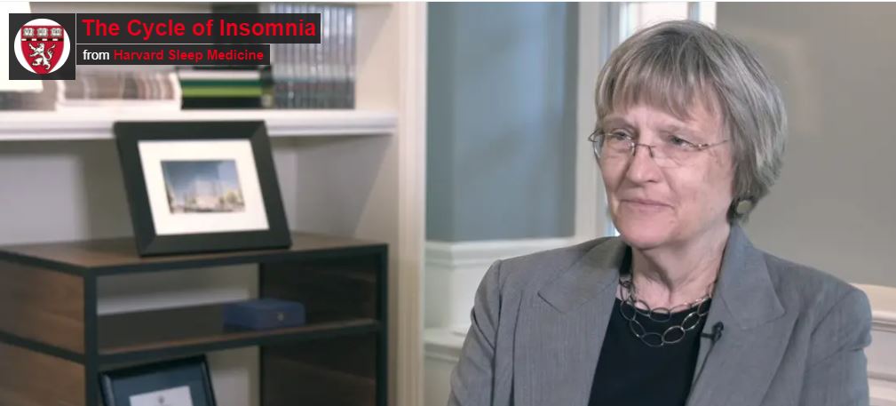 Drew Faust on Cycle of Insomnia