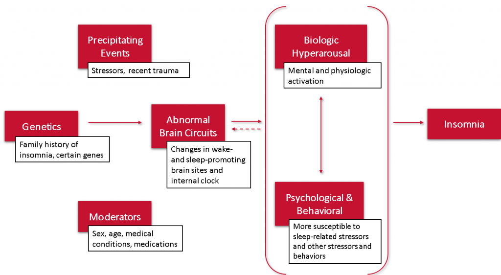 Neurocognitive Arousal Theory