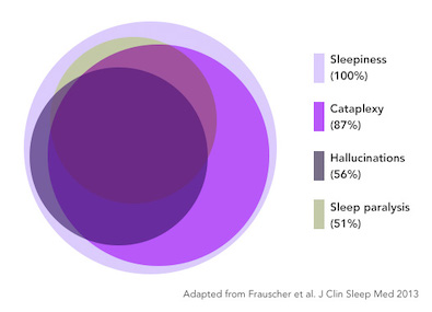 Venn diagram of symptoms in narcolepsy